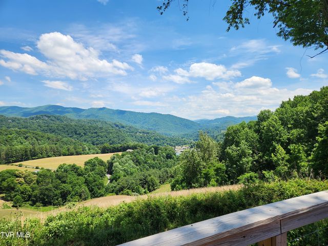 Lot 40 Cowan Town Road, Butler, TN 37640
