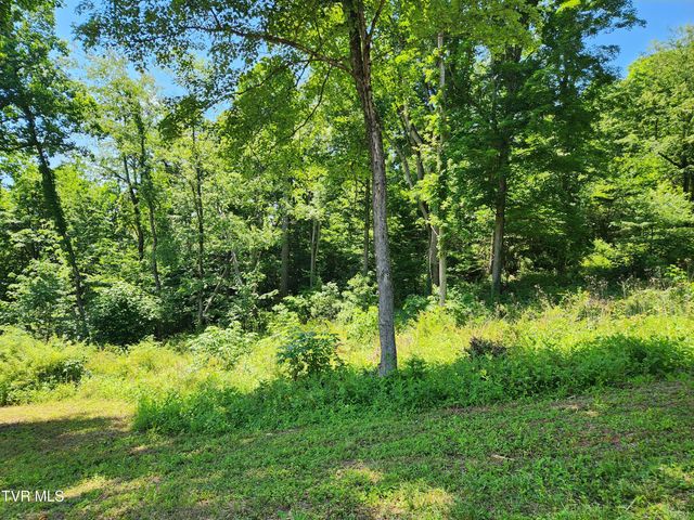 Lot 40 Cowan Town Road, Butler, TN 37640
