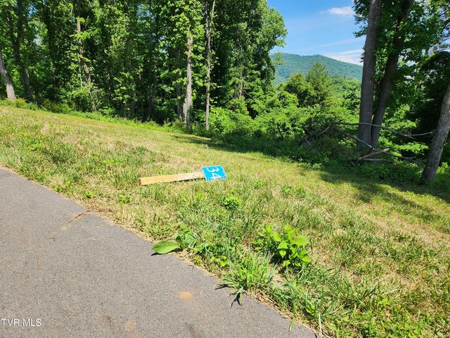 Lot 40 Cowan Town Road, Butler, TN 37640