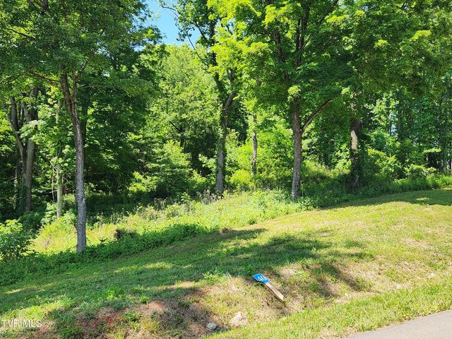 Lot 40 Cowan Town Road, Butler, TN 37640