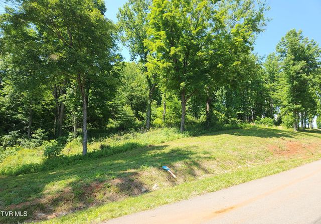 Lot 40 Cowan Town Road, Butler, TN 37640