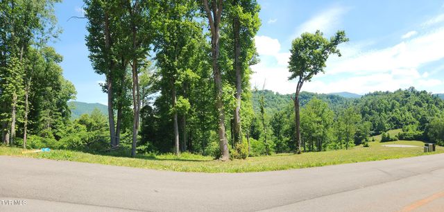 Lot 40 Cowan Town Road, Butler, TN 37640