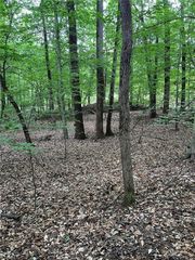0 Jones Road, Winston-salem, NC 27107