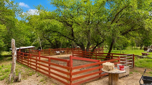 1169 Old Adams Ln, Pleasanton, TX 78064
