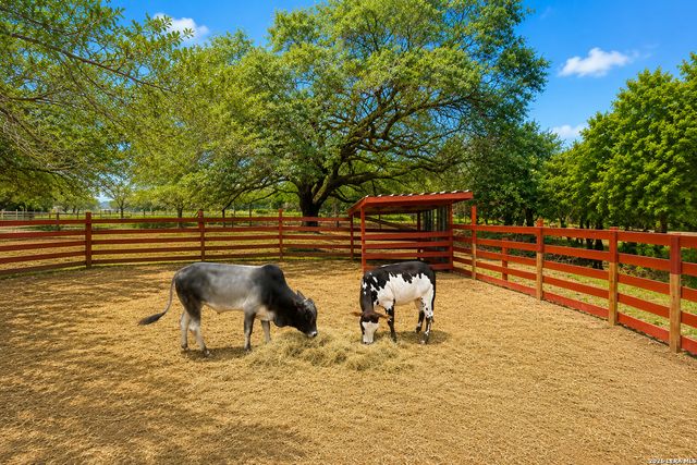 1169 Old Adams Ln, Pleasanton, TX 78064