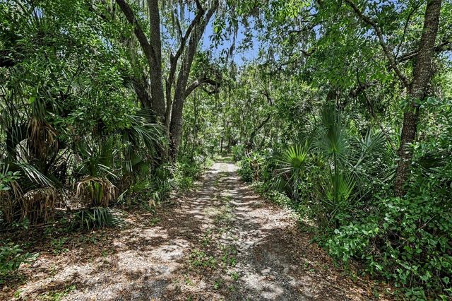 10239 LYONS AVENUE, Lithia, FL 33547