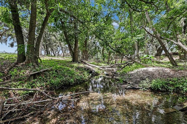 10239 LYONS AVENUE, Lithia, FL 33547