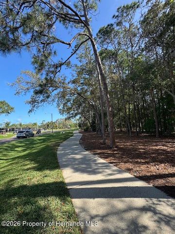 2479 Hidden Trail Drive, Spring Hill, FL 34606
