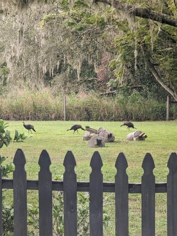 12231 KELLY LANE, Thonotosassa, FL 33592