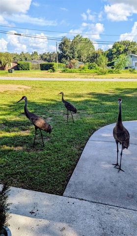 12231 KELLY LANE, Thonotosassa, FL 33592