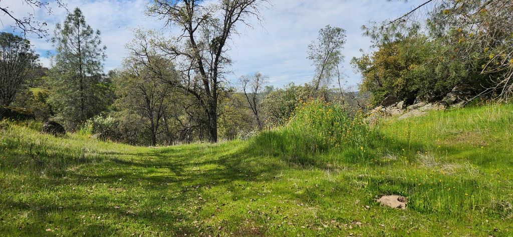 Image 3 of property listing at 41853 Starlight Court, Coarsegold, CA 93614