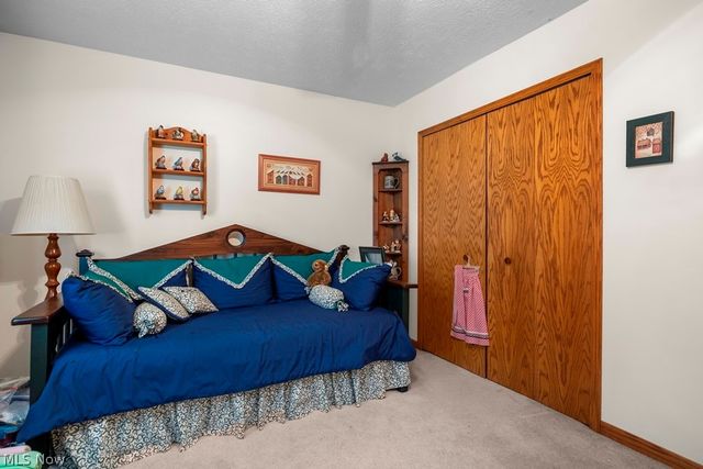 20290 Indian Hollow Road, Wellington, OH 44090