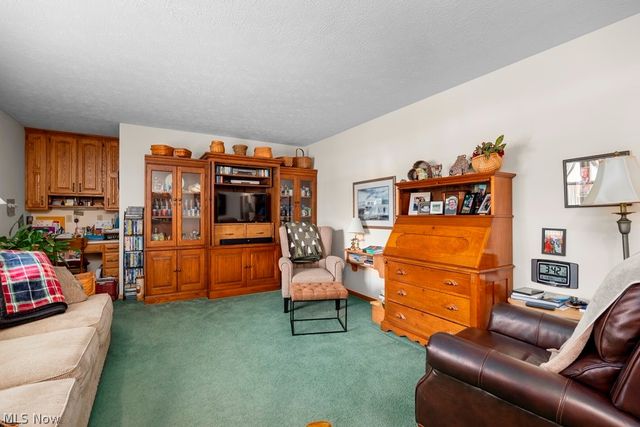 20290 Indian Hollow Road, Wellington, OH 44090