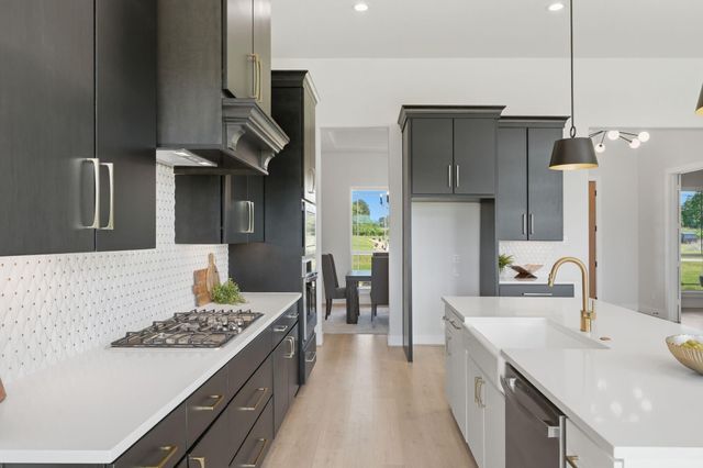 25231 Pleasant Retreat Court, Montgomery, TX 77356