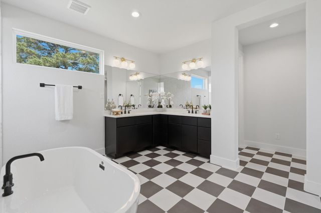 25231 Pleasant Retreat Court, Montgomery, TX 77356