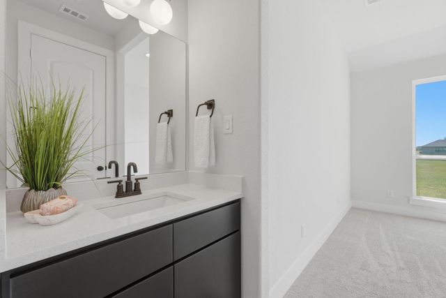 25231 Pleasant Retreat Court, Montgomery, TX 77356