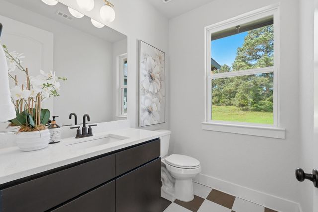 25231 Pleasant Retreat Court, Montgomery, TX 77356