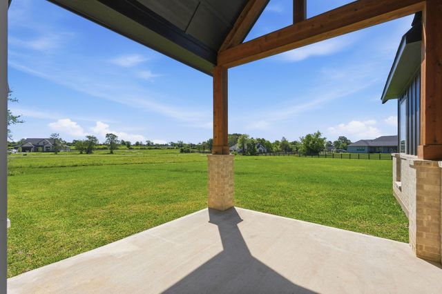 25231 Pleasant Retreat Court, Montgomery, TX 77356