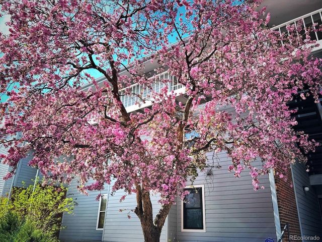 3121 S Tamarac Dr 208H, Denver, CO 80231