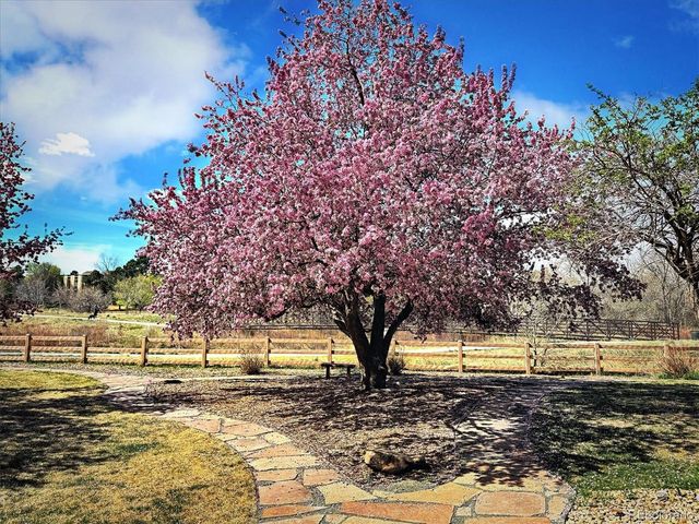 3121 S Tamarac Dr 208H, Denver, CO 80231