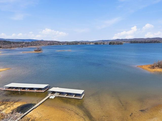 1255 New Lake Road, Spring City, TN 37381
