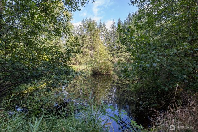 43103 Hilligoss Lane E, Eatonville, WA 98328