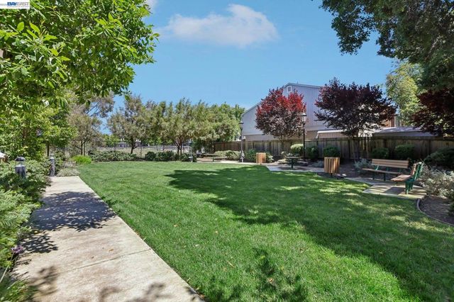 1250 Detroit Ave 1, Concord, CA 94520