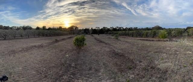 000 SE SE 165TH AVENUE, Weirsdale, FL 32195