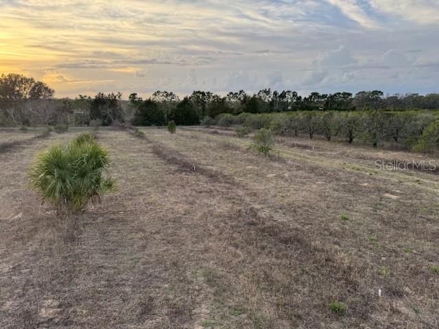 000 SE SE 165TH AVENUE, Weirsdale, FL 32195
