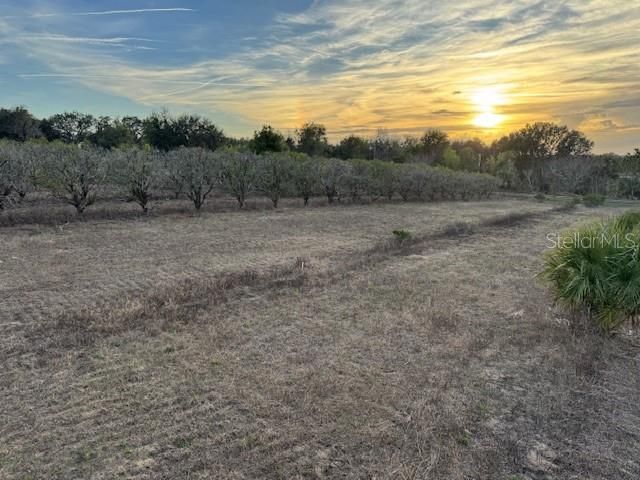 000 SE SE 165TH AVENUE, Weirsdale, FL 32195