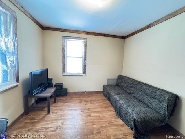 3309 Rabidue, Clyde, MI 48049