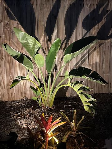 828 S TUTTLE AVENUE B, Sarasota, FL 34237