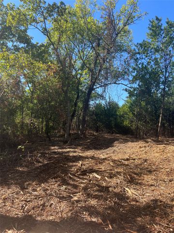 TBD1 Rochelle Cannon Road, Whitewright, TX 75491