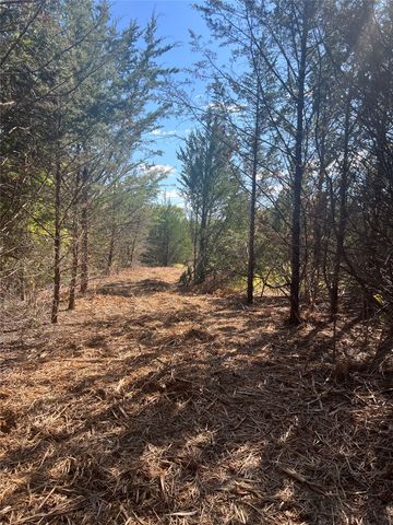 TBD1 Rochelle Cannon Road, Whitewright, TX 75491