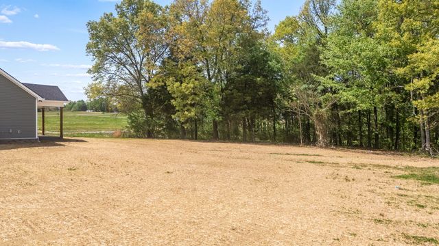3776 Hollow Springs Rd, Bradyville, TN 37026