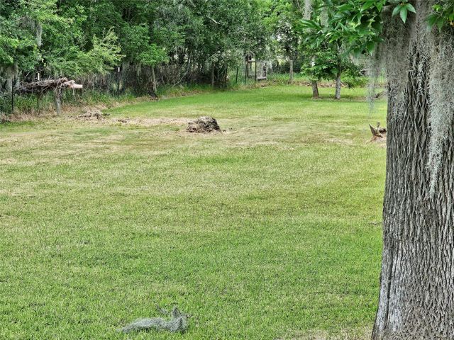 20331 County Road 510v, Brazoria, TX 77422