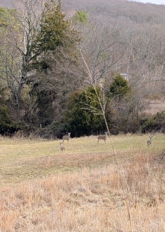 16940 Highway 71, Winslow, AR 72959