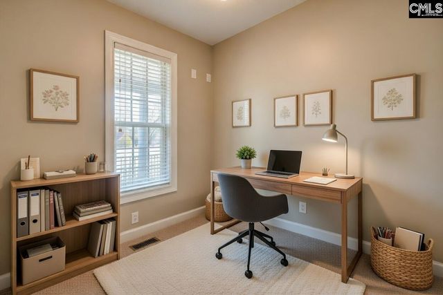 24 Clay Court, Chapin, SC 29036