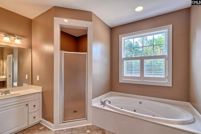 24 Clay Court, Chapin, SC 29036