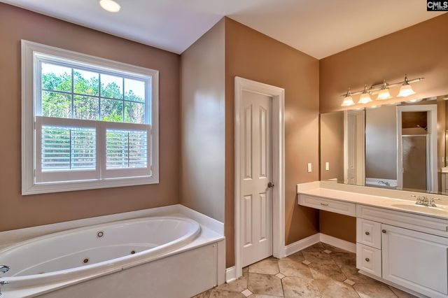 24 Clay Court, Chapin, SC 29036