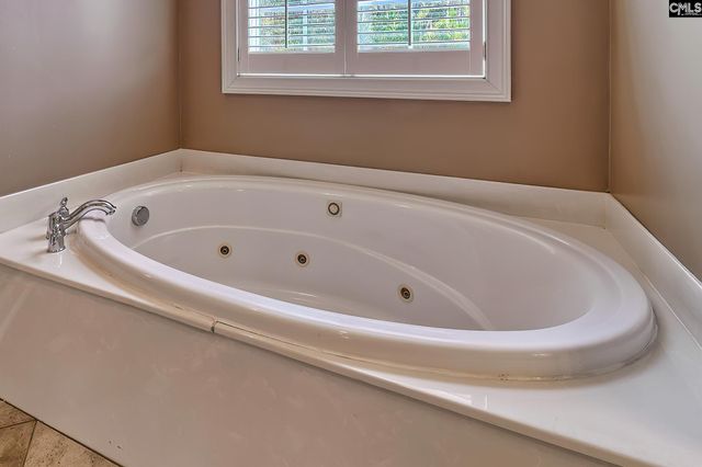 24 Clay Court, Chapin, SC 29036