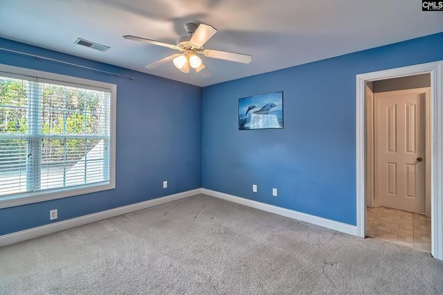 24 Clay Court, Chapin, SC 29036