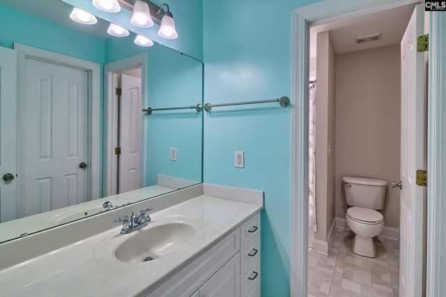 24 Clay Court, Chapin, SC 29036