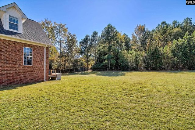 24 Clay Court, Chapin, SC 29036