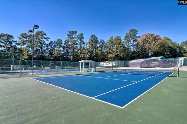 24 Clay Court, Chapin, SC 29036