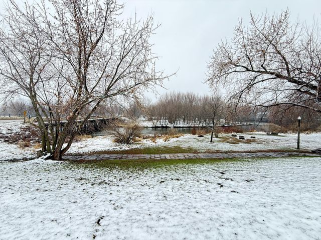 31 W Wilkening Avenue, Appleton, MN 56208