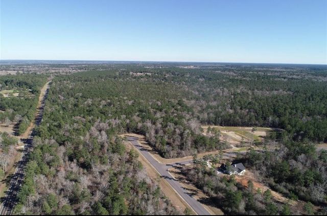 317 Iron Horse Road, New Waverly, TX 77358