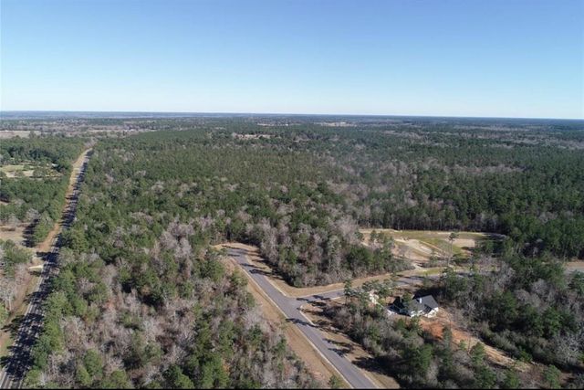 317 Iron Horse Road, New Waverly, TX 77358