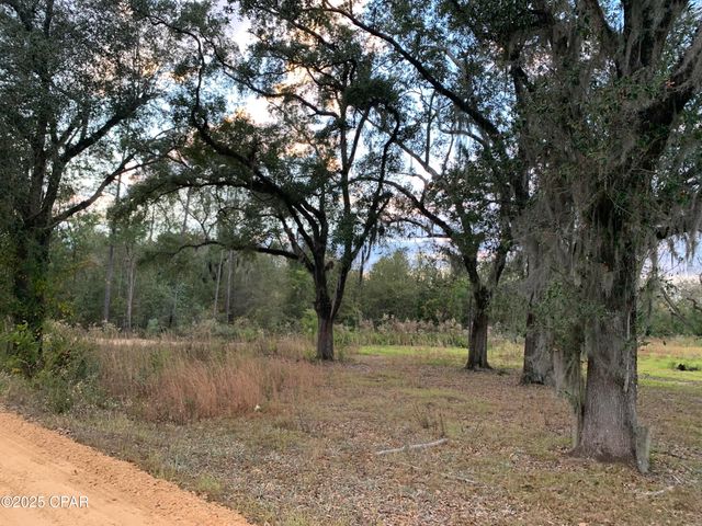 7010 Nobles Road, Grand Ridge, FL 32442