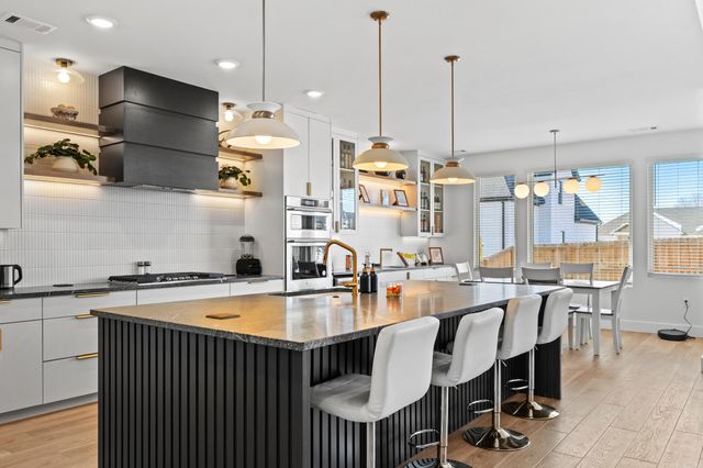 145 Sycamore Springs Drive, Conway, AR 72034